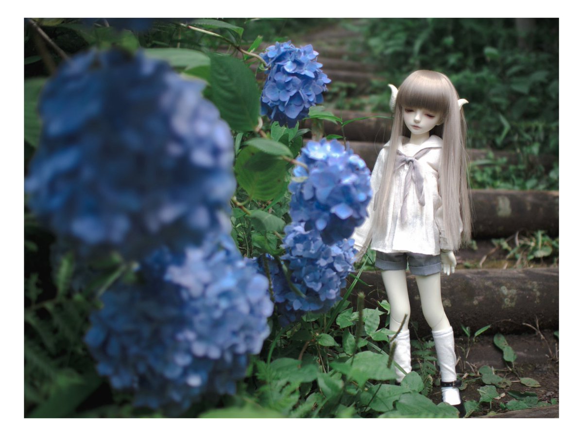 #絶対今日撮ってないって分かる写真をあげる見た人強制