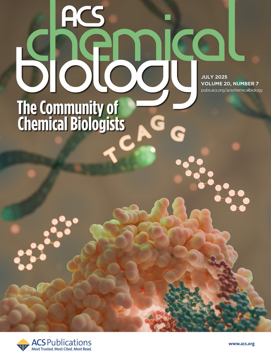 Behnoush Hajian tweet media