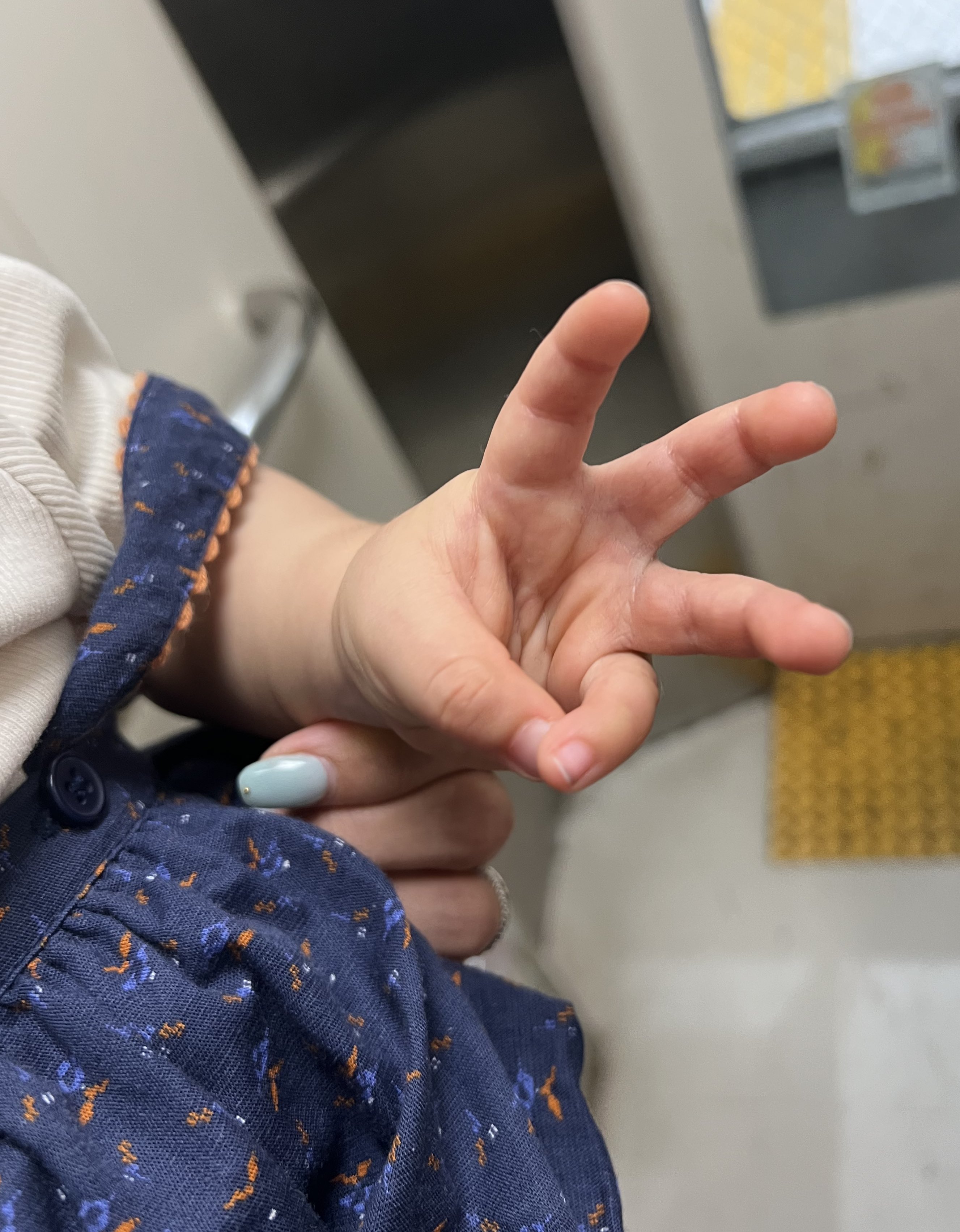 すももさま専用⭐︎ すもも様専用 - メルカリ