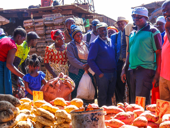 HarvestPlus (@harvestplus) on Twitter photo ๐ฑ Farmers growing vitamin A orange sweet potatoes in Zimbabwe toured Mbare Musika market to learn about grading, pricing & marketing.
Now, they can negotiate better, boost incomes & expand demand for nutritious foods.
"Marketing is just as important as agronomy." โ HarvestPlus ๐ฑ Farmers growing vitamin A orange sweet potatoes in Zimbabwe toured Mbare Musika market to learn about grading, pricing & marketing.
Now, they can negotiate better, boost incomes & expand demand for nutritious foods.
"Marketing is just as important as agronomy." โ HarvestPlus