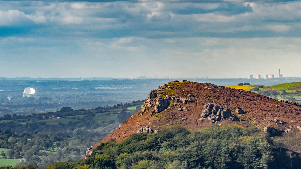 Cliff Salt tweet media