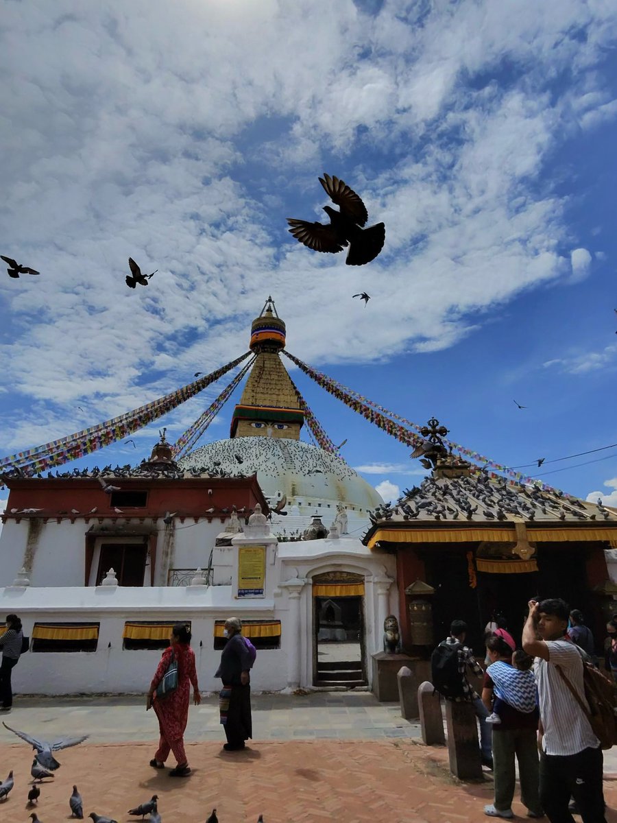dezpinosaa's tweet photo. Nepal hasta ahora https://t.co/V7Ufas3GcS