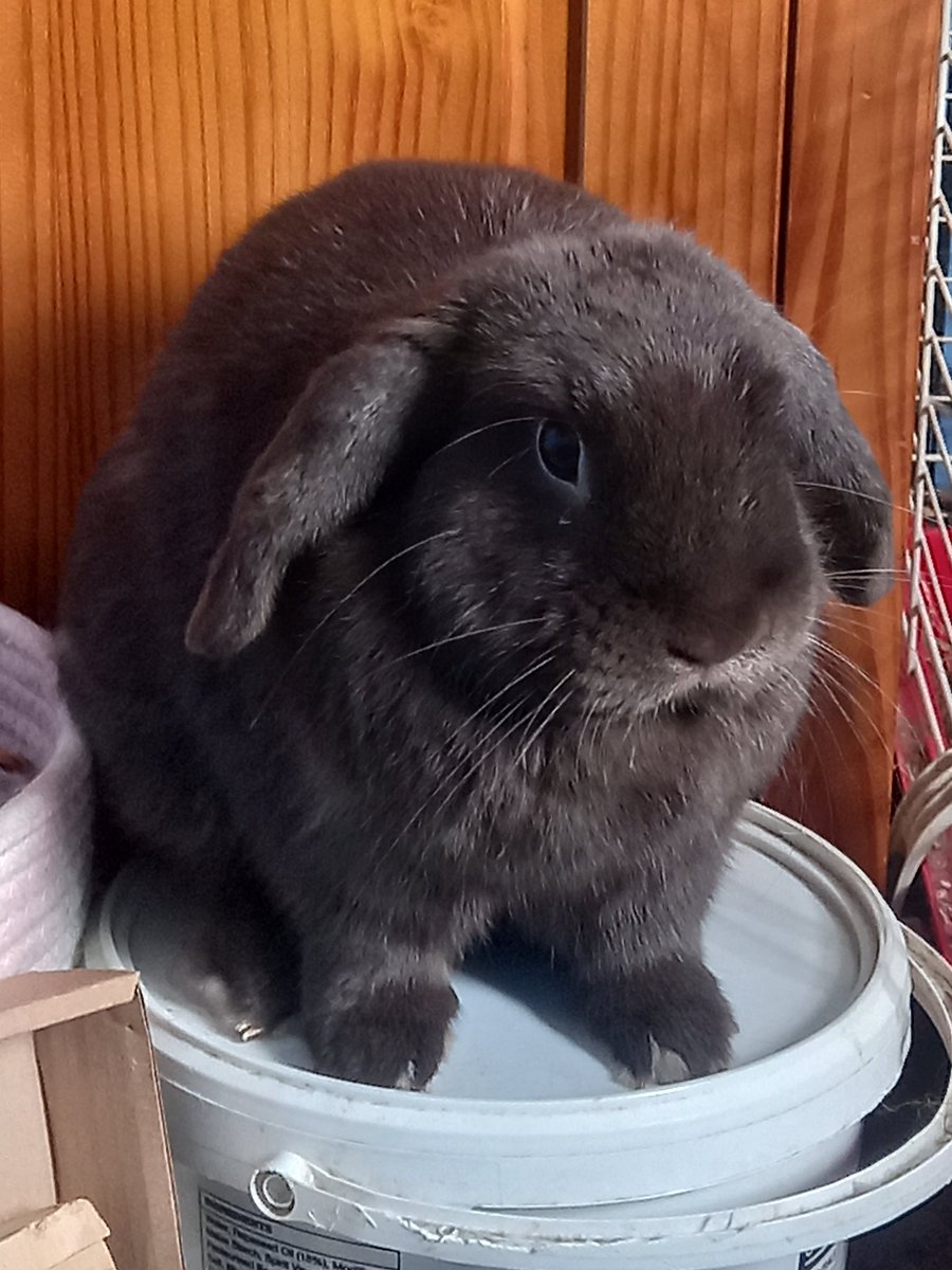 Punk🤘 tweet media