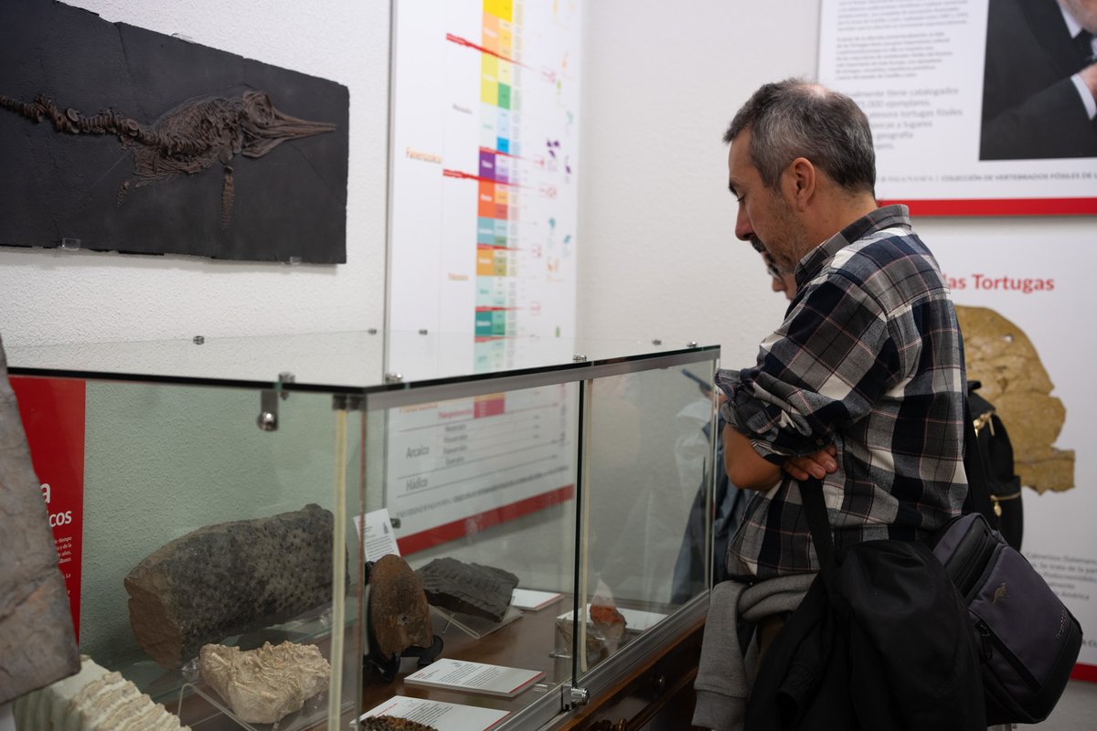 📢 ¿Quieres participar en la Semana de la Ciencia?

Prepara una actividad divulgativa sobre patrimonio científico, artístico, bibliográfico, documental o inmaterial de la <a href="/usal/">Universidad de Salamanca</a> 

🗓️ del 10 al 21 de noviembre

Información e inscripciones ➡️ forms.gle/N3jQ5J7FSuFKZM…