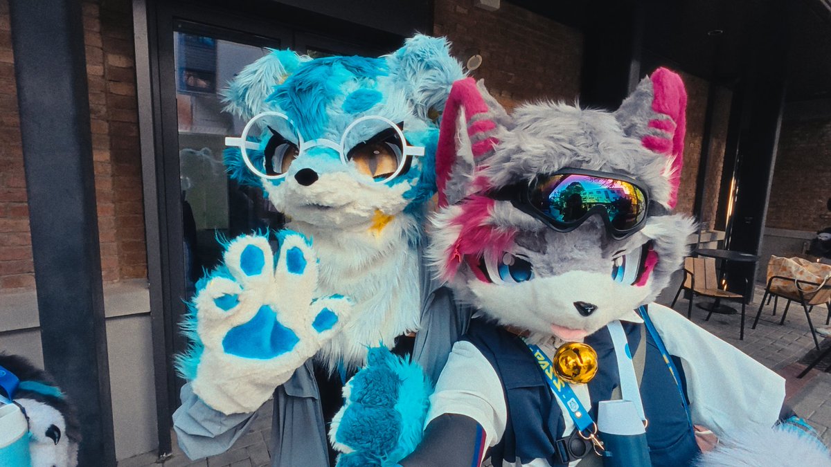 【喵小聚-卫星厂小聚-哔哩哔哩】 b23.tv/qhYkGBv
#FursuitFriday 当成毛5来发吧