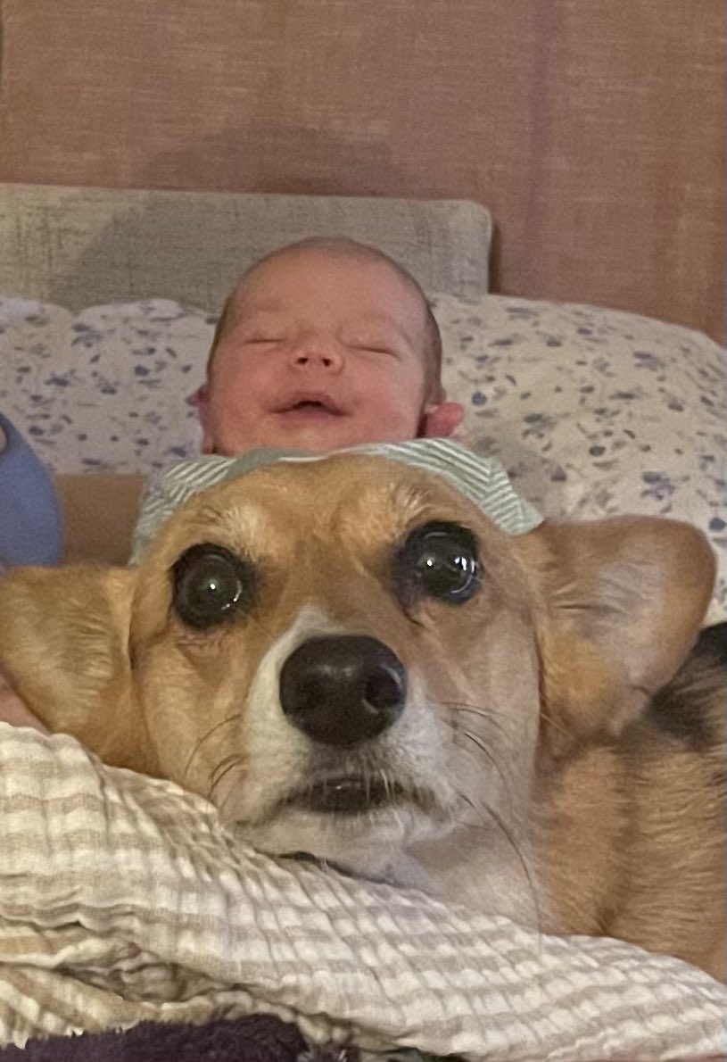 We all need to take a break from political outrage. But what else is there to think about?

I’ll start:

Here’s a photo of my grandson dreaming about flying away on a magic corgi.