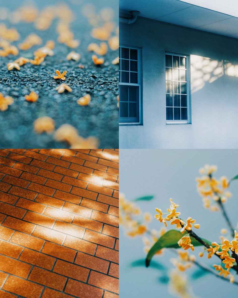 hinamin012's tweet image. もうすぐ