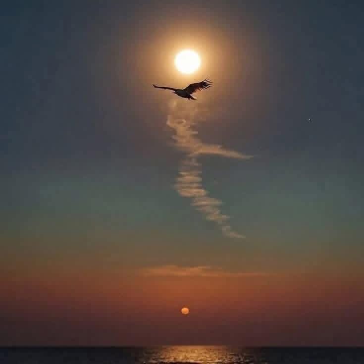 #ان ماقدرت تصير بالقافله شي
اياك  تصبح  كلب  ينبح  عليها
اما حياتن  تجعلك  بالملا حي
ولا وداع   الارض  واللي   يبيها
#مساء_الخير