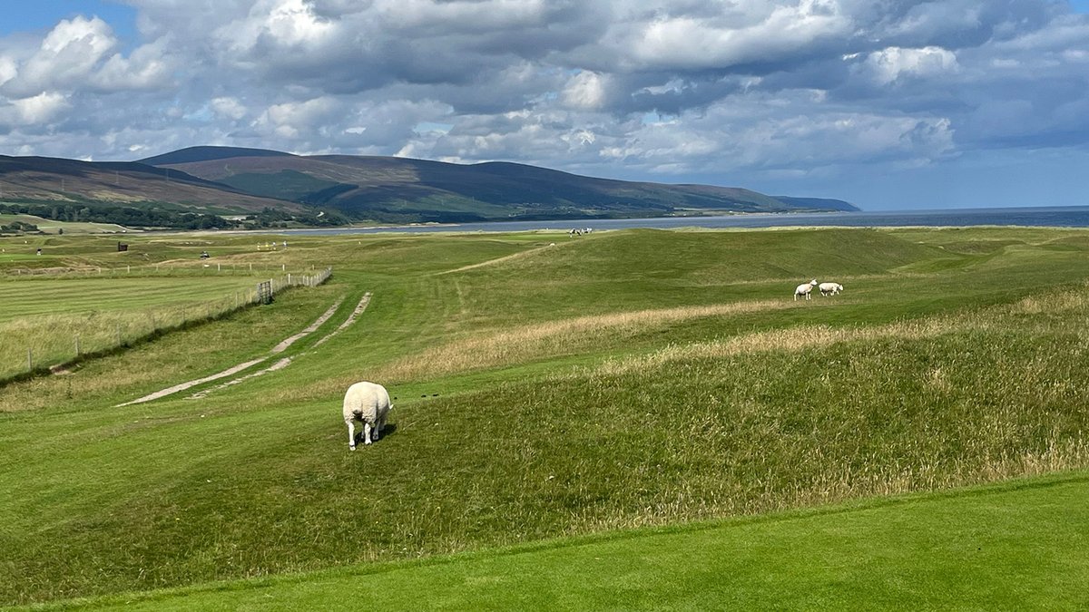 The No Laying Up podcast has been singing the praises of teeing it up in the Highlands of Scotland!

On the podcast they urge US golfers to look north praising Royal Dornoch, Brora, Cabot Highlands and Nairn as must-play Highland gems.

Full story 👇
golfhighland.com/us-podcast-tea…