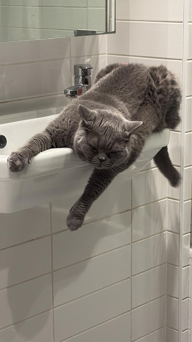 Sergidhmup tweet media