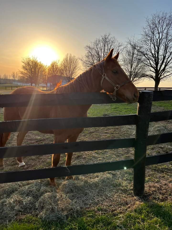 Good Friday Morning! 🌄