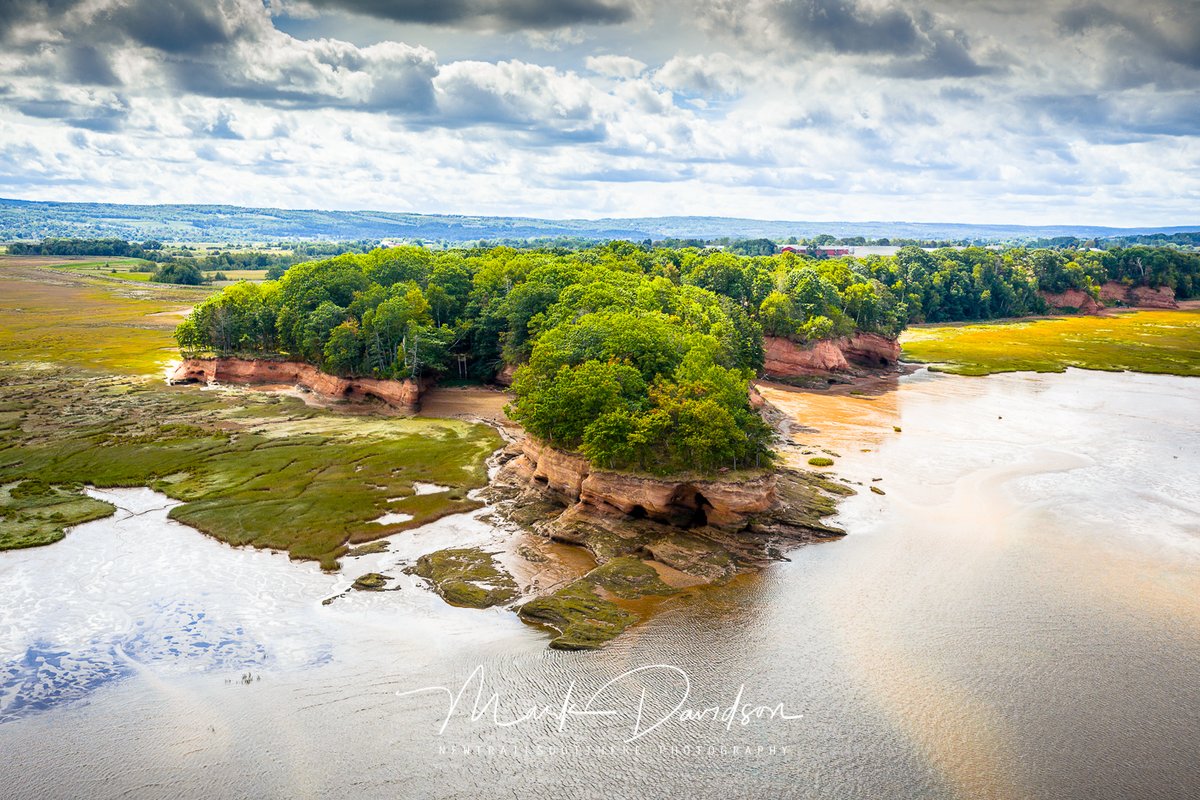 Mark Davidson tweet media