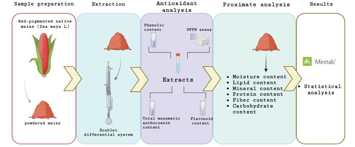 📌Determination of Antioxidant Activity and Proximate Composition of a Variety of Red Pigmented Zea mays L. from Puebla, Mexico

🎓By Jesabel Pineda-Quiroz, Alan Carrasco-Carballo from Instituto de Ciencias, BUAP, Mexico

🔎Learn more at: mdpi.com/2673-9623/5/3/…