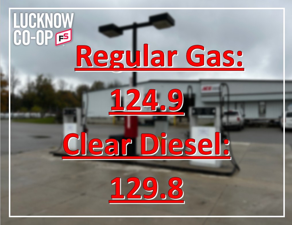 Lucknow Co-op (@lucknowcoop) on Twitter photo 