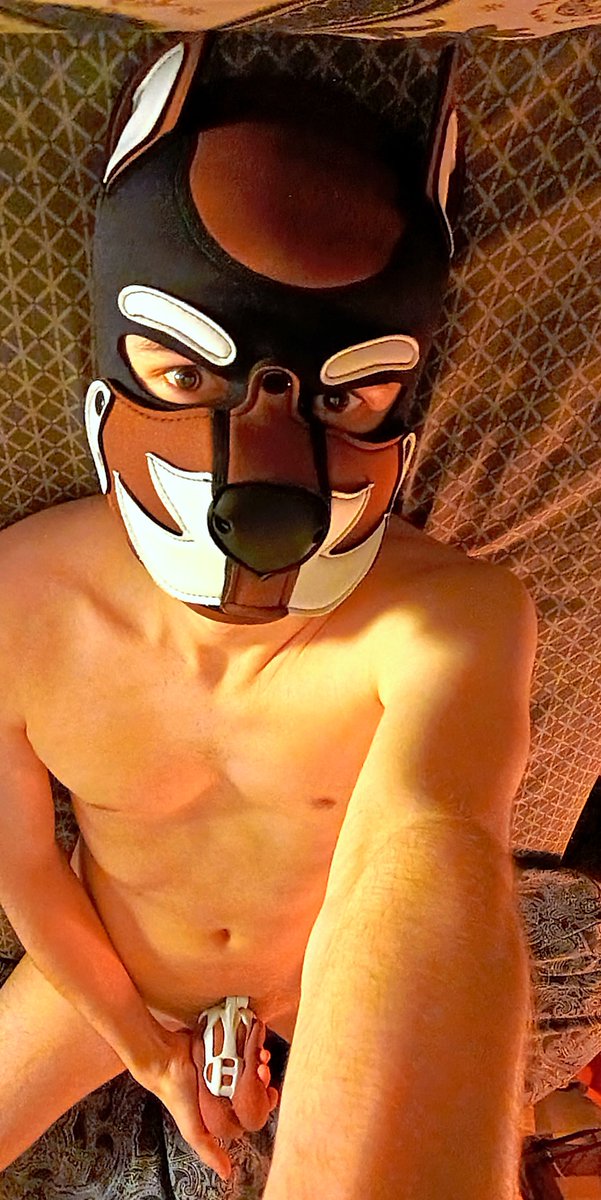 Feeling extremely good to know that <a href="/PupHermes/">Pup Hermes 🐶 🖤🧡🪽</a> just claimed my keys

That I am just his little f@g pup for him to play with 🤤
