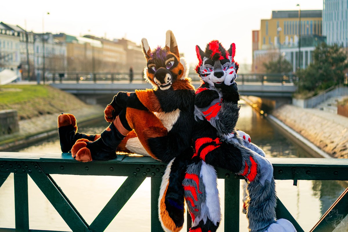 Happy #FursuitFriday with <a href="/DiviTheWolf/">Divi 🔜 AQF | MFF | ANE</a>!
Can’t wait to be back in Sweden next February! 💙🇸🇪

📸: <a href="/fur_nerox/">Nerox</a>
