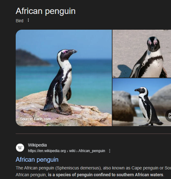 TIL there's penguins in Africa. Idk why but this just blew my mind.