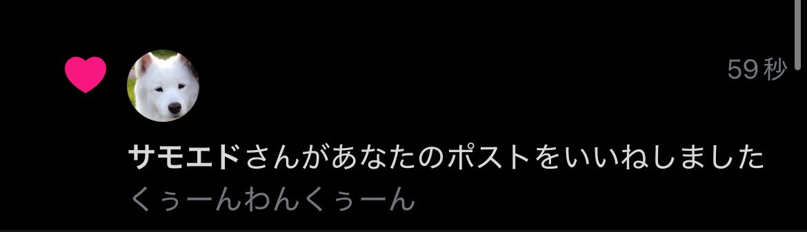 サモエドw
結局犬じゃんww