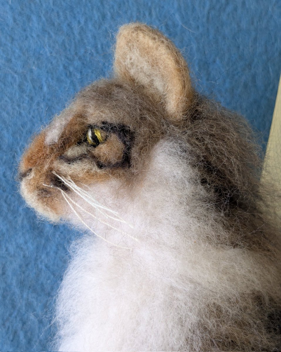 sheepinstitches's tweet image. Now available in my shop here ➡️ sheepinstitches.etsy.com/listing/437245…
#tabbycat
#needlefeltedcat
#catornament 
#catchristmastreeornament
