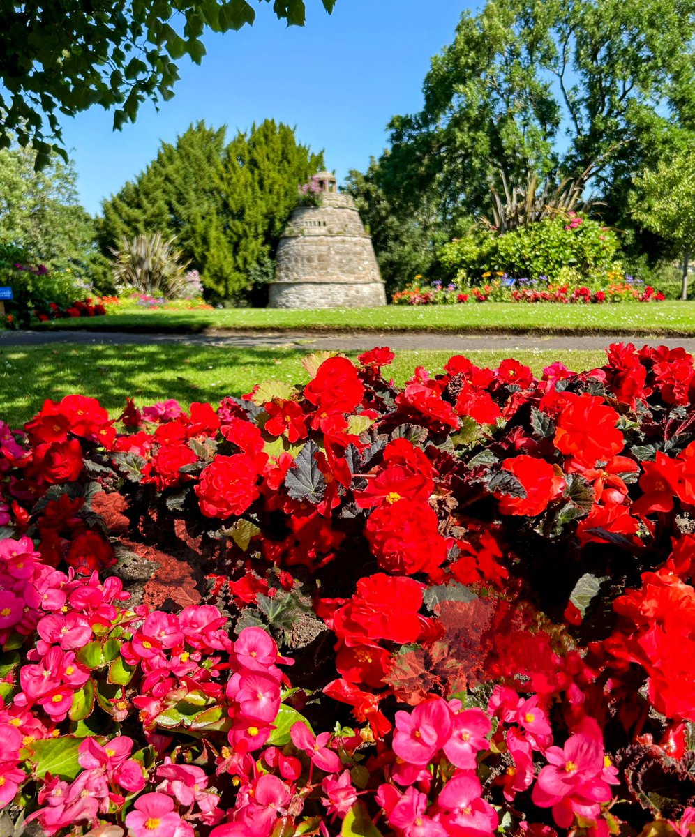 LStewart_books's tweet image. Flower displays in Linlithgow 
#FridayThoughts #community #FlowersOnFriday