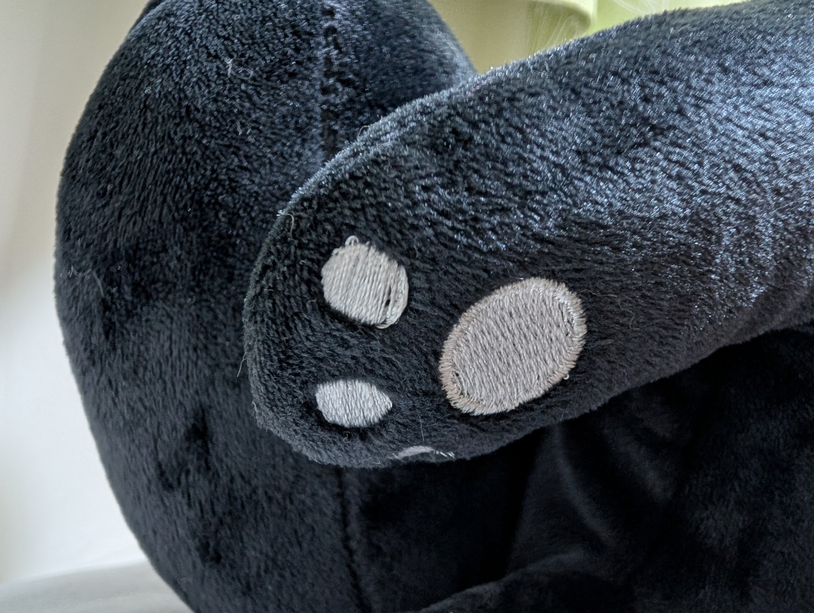 三毛猫️🍰 on X: 