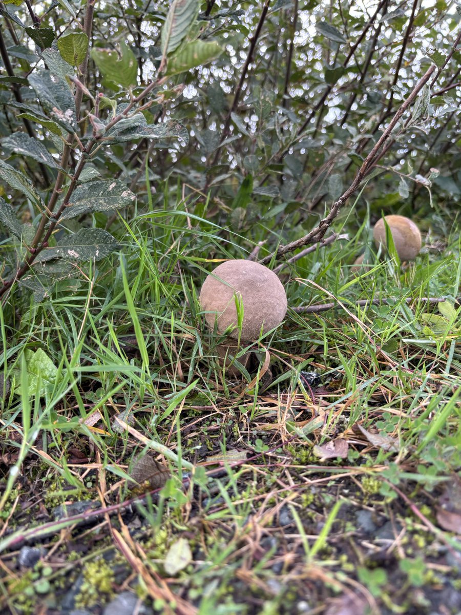 #Connemara #Conemara #Cycling