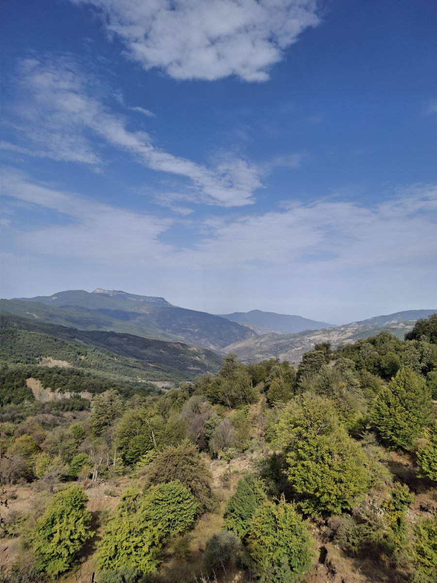 mstmoj's tweet image. از آخرین جمعه تابستون