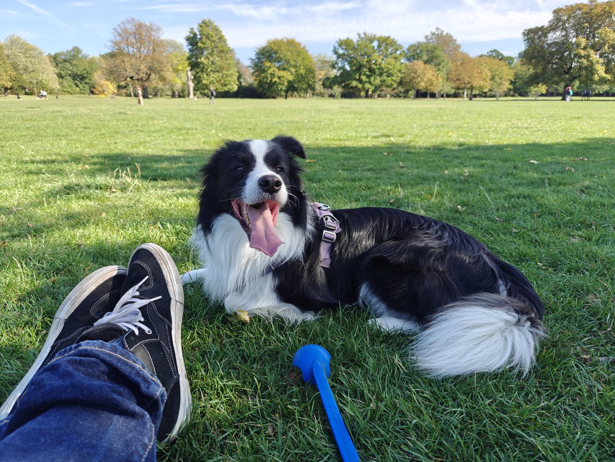 Rob Bateman tweet media