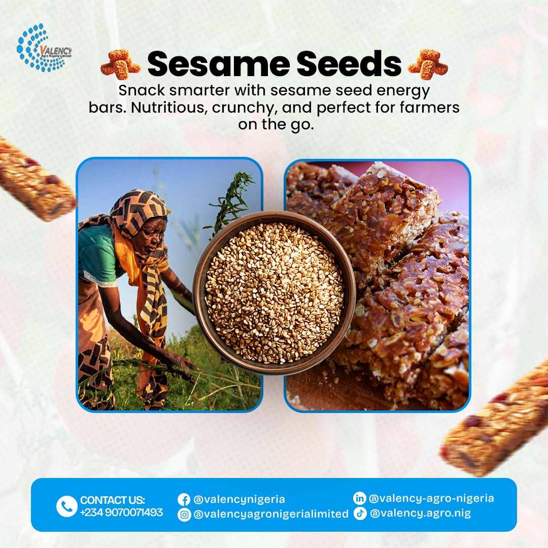 valencyagronig's tweet photo. Snack smarter with sesame seed energy bars this weekend 🍯🌱 – nutritious, crunchy, and perfect for farmers on the go.

#SesamePower #FarmToTable #HealthyHarvest #Valencyagronigeria https://t.co/FXOWGZtDuD