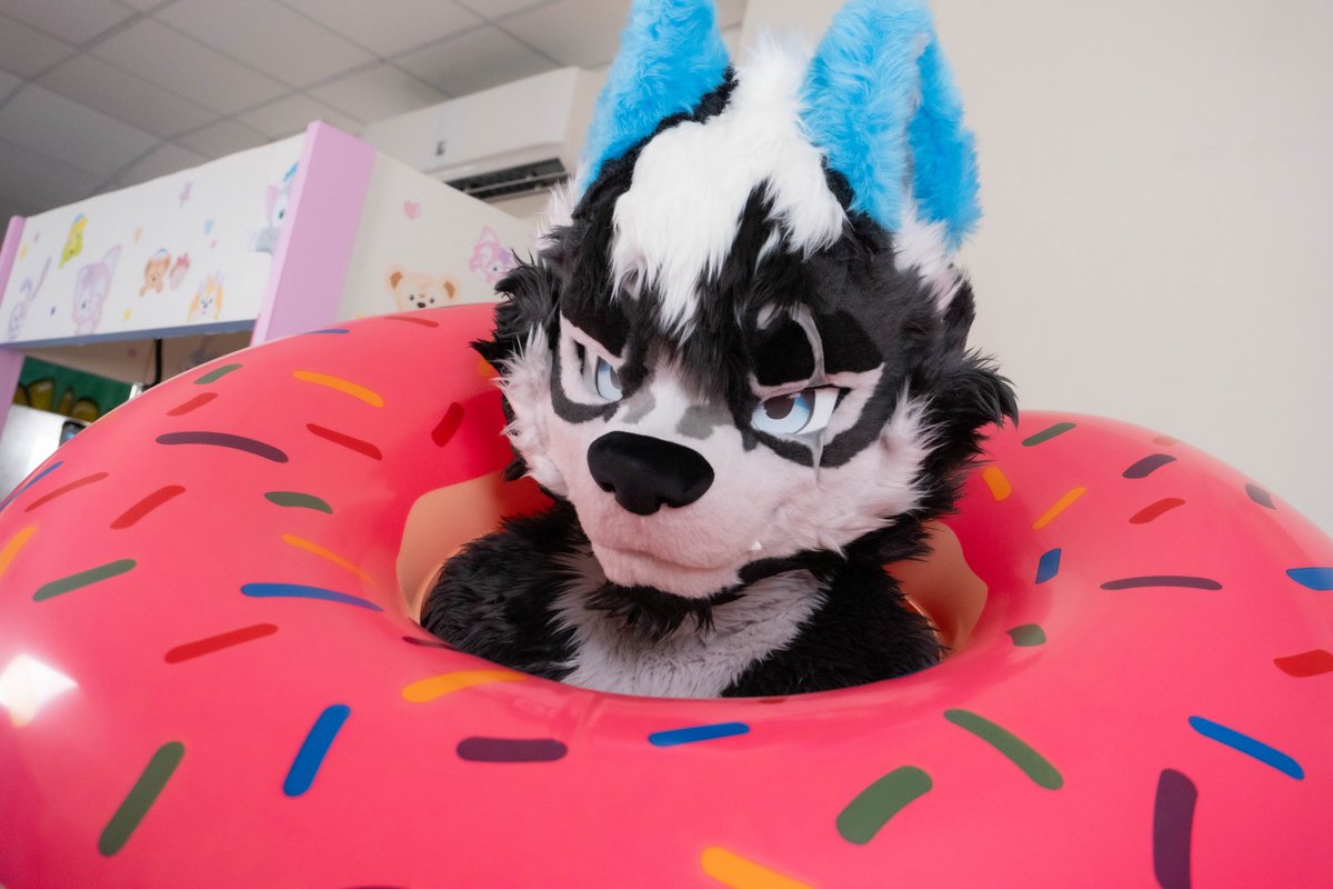🍩 

📷:<a href="/Raphael1120210/">Raphael/Sissela/Diliya➡️??</a> 
 #FursuitFriday