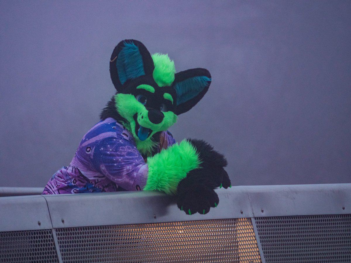 What's up? Happy #FursuitsFriday!

Its pride in Uppsala this weekend!🏳️‍🌈🏳️‍🌈🏳️‍🌈 Who will be there? :D 

#furry #fursuit #fursuiter #furryfandom #furrycommunity 

📸 <a href="/bigbadbootydrgn/">Ratch</a> 
🪡 <a href="/TheKarelia/">TheKareliaFursuits 🔜 Furnavia + Scotiacon + NFC</a>