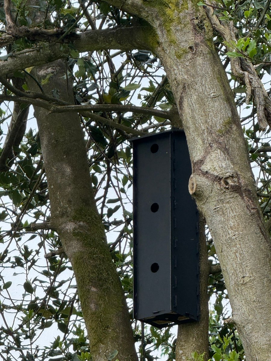 🪹 What do you think of our new bird hotels?

We've installed this new accommodation earlier this year here at Henry Orchard &amp; Sons.

We'd love to know if you have bird boxes with feathered guests settling in!  🦉🦇

 #CornwallRecycling #Wildlife #HenryOrchardAndSons #BirdBoxes