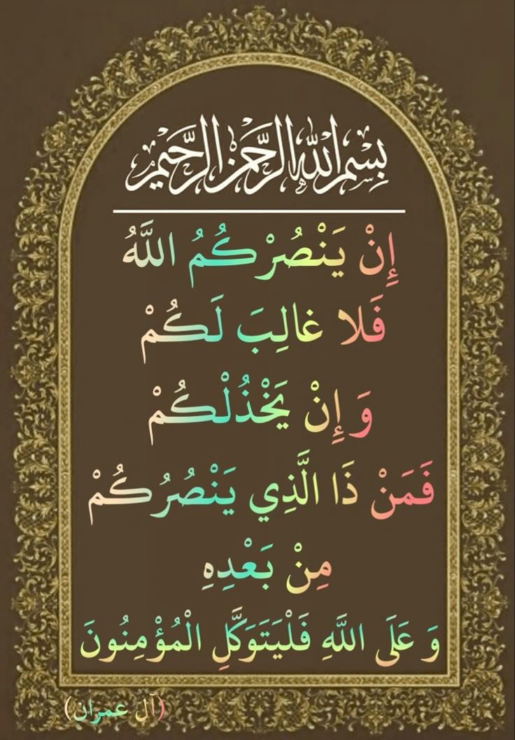 ابو عبد القادر (@sbr4w3wkcrbv9jk) on Twitter photo 