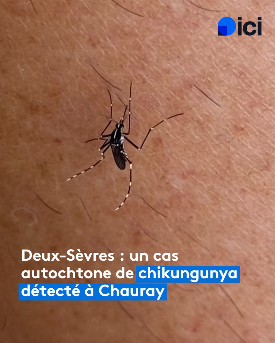 Des mesures immédiates ont été mises en œuvre pour limiter
tout risque de propagation

➡️ l.ici.fr/19M