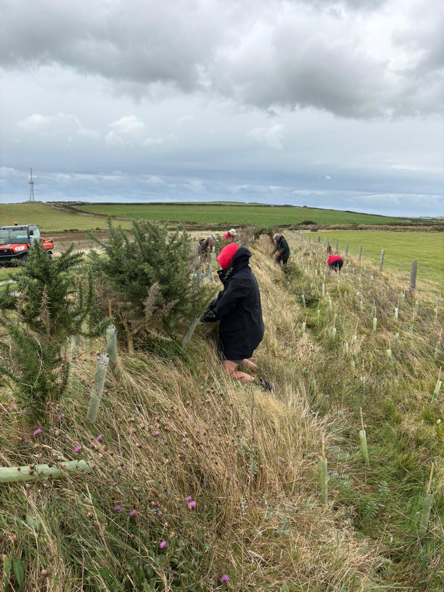 NorthDevonNT tweet media