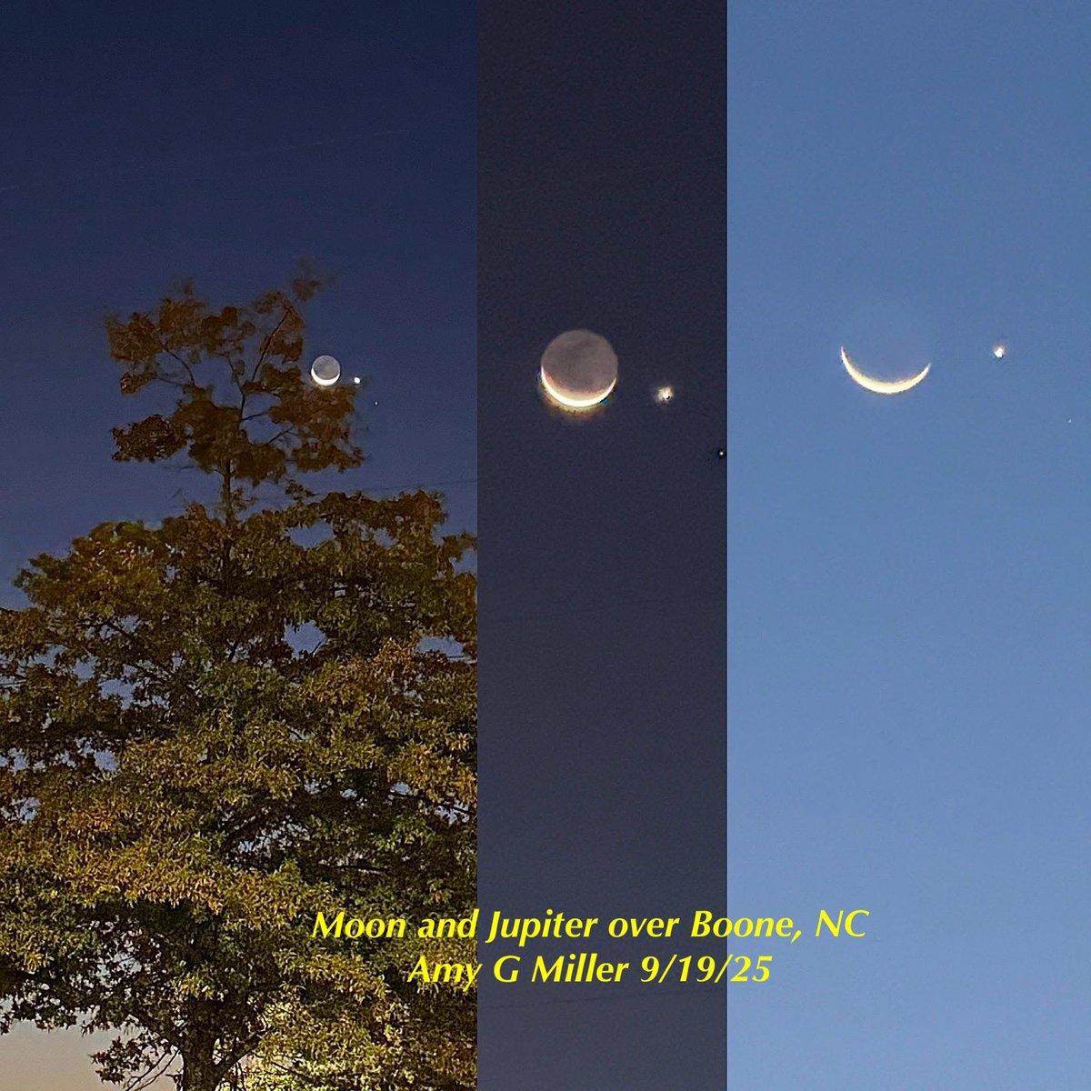 As captured this morning by Amy G Miller