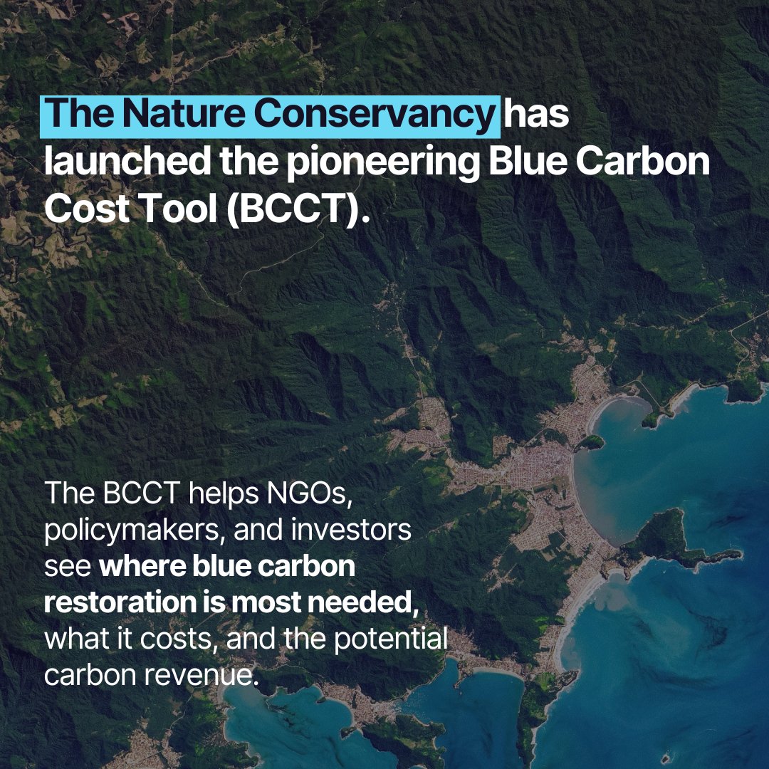 Vizzuality tweet media