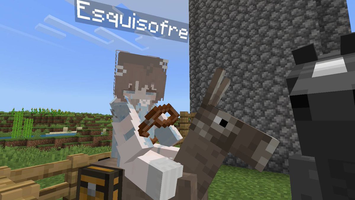 🧔🏻‍♀️ tweet media