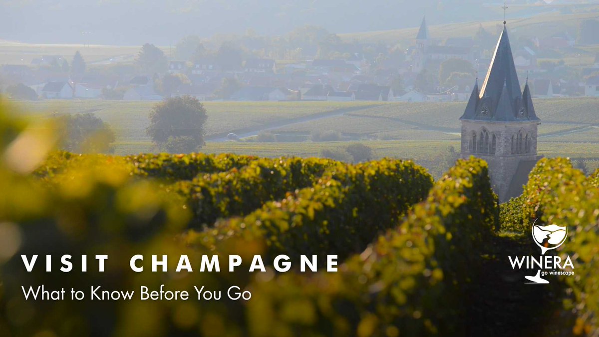Visiting Champagne is a cultural journey through history, gastronomy, and stunning landscapes! 🍇🥂 
Read more: tinyurl.com/ywp7vnr3
#Winera #Travellier #wine #VisitChampagne #WineraExperiences #ChampagneTravel #ChampagneTasting #ChampagneFrance #WinesofFrance #France