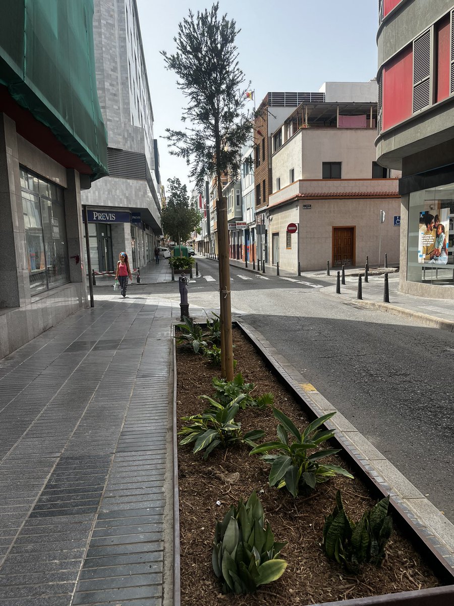 Nuevos brotes verdes en La Naval. Qué no pare la música <a href="/gemmartinezsol/">Gemma M. Martínez Soliño</a>