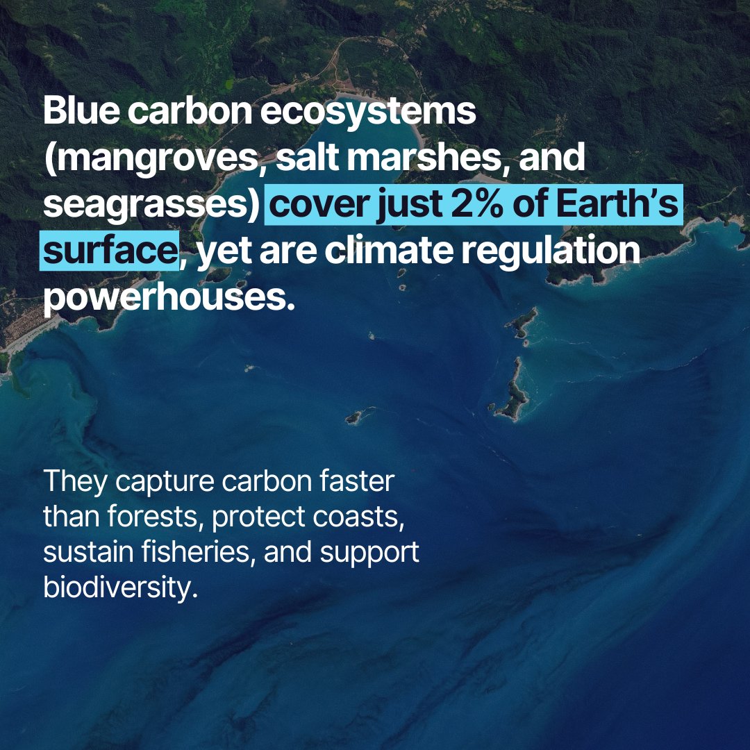 Vizzuality tweet media