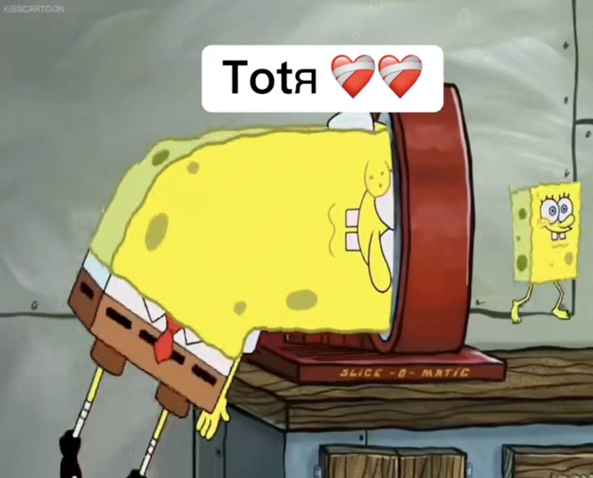 The Newest wave of Viral Brainrot is being encompassed into one term by Tiktok, "Niche Memes"  These memes are taking over Tiktok, with 100's of millions of views across the videos and Tiktok comment sections (Totr, Dudeman, Blowlander etc.)