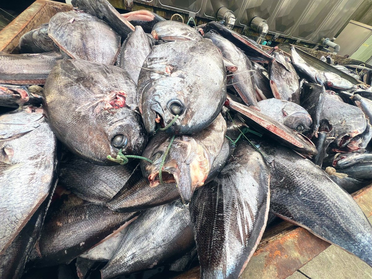 エチオピアが3トン
トラックで運搬🚚