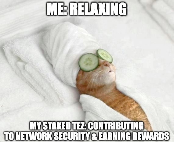 💼 Don’t let your tez just sit there… Make them work!

Staking gives your tez a job:

⚡️ Earns rewards
🧑‍🍳 Increases your baker’s baking power
🔐 Contributes to network security

Chill this Staketember and let your tez do all the heavy lifting.