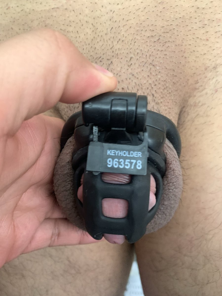 Master Leafar 4.2 K tweet media