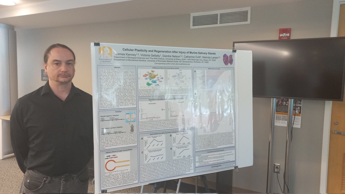 CapDistPostdocs's tweet image. It's poster session time brought to you by Baskin and Robbins! @BaskinRobbins #PostdocAppreciationWeek