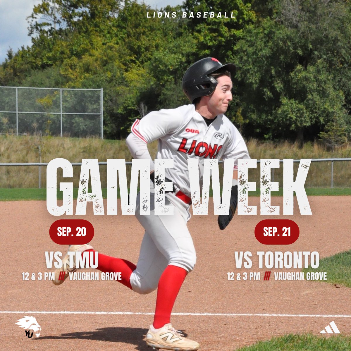 York Lions Baseball tweet media