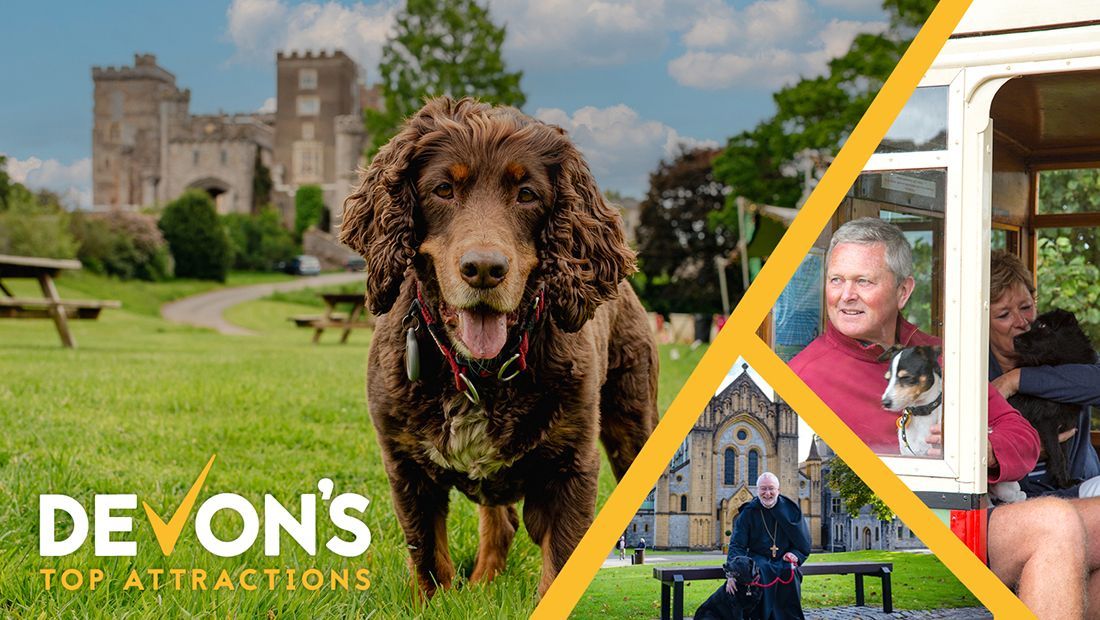 🎡☀️ WEEKEND FUN FOR EVERYONE! ☀️🎢
Devon’s bursting with choice for days out for all the family.
Why not make the most of the great weather and get out and about. 
Make family memories this weekend ?
buff.ly/FyI9GGf website - latest news
Let’s make memories! 💫