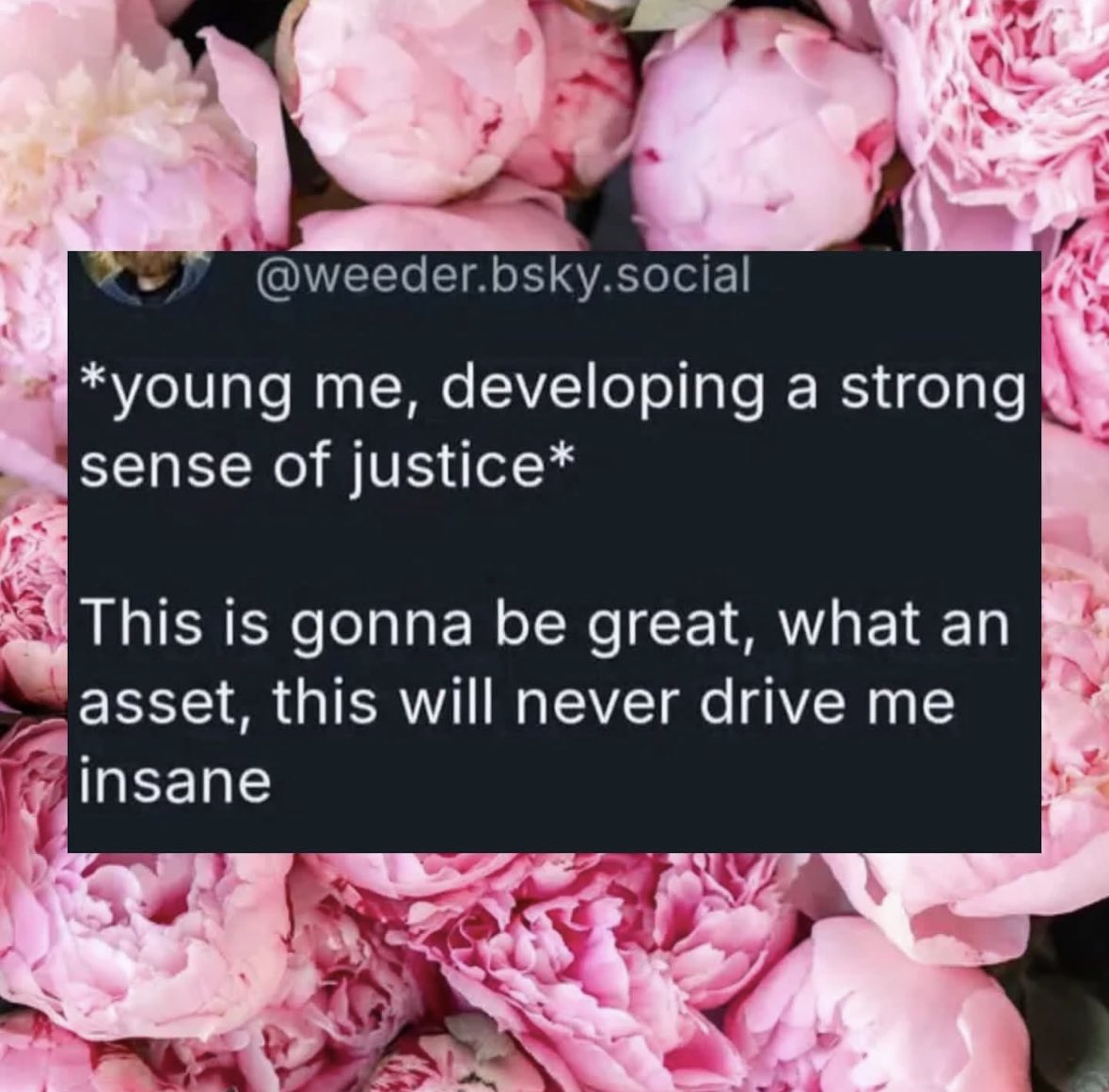 ADHDForReal's tweet image. 