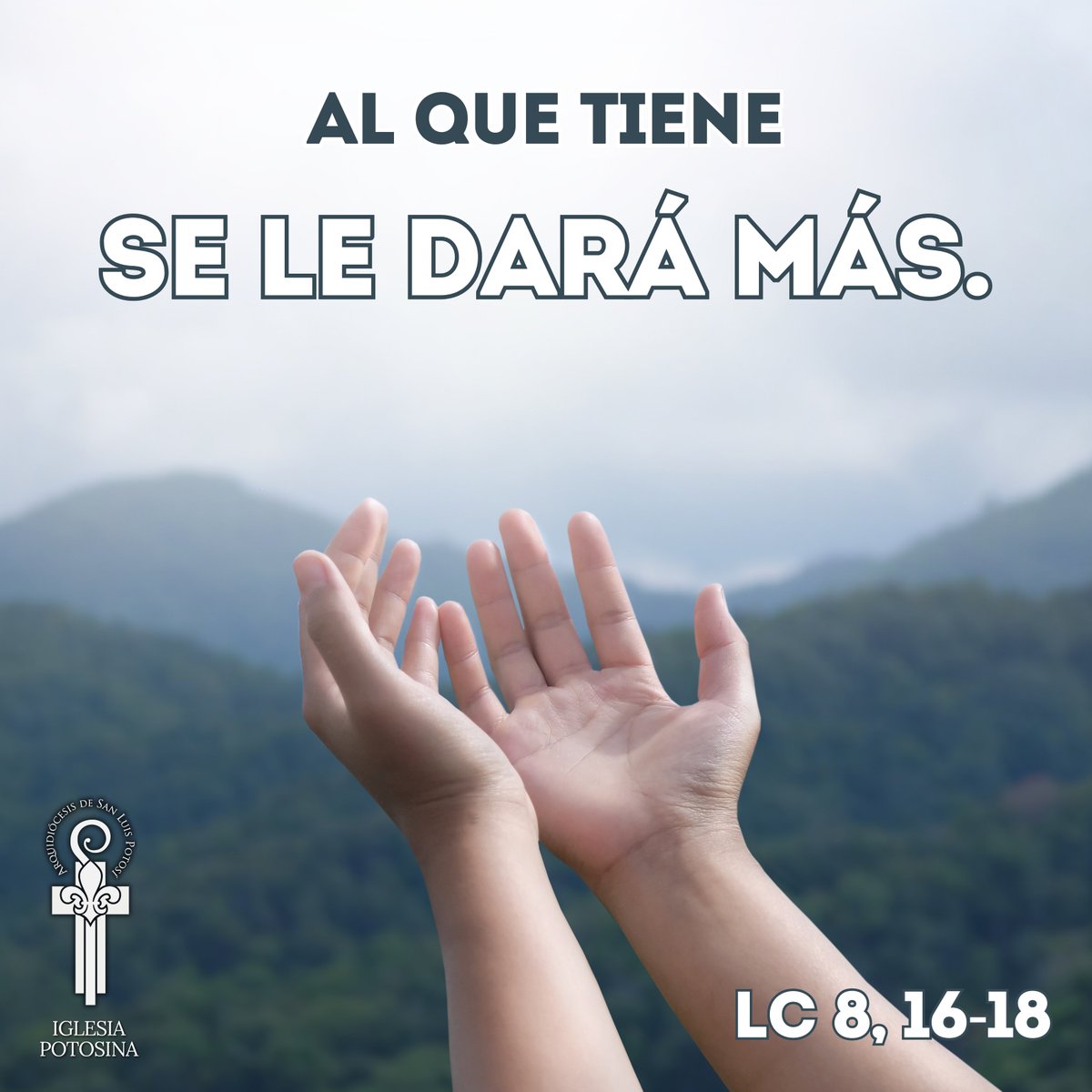 DiocesisSLP's tweet image. 📖Lc 8, 16-18

Jesús dijo a la multitud: "Porque nada hay oculto que no llegue a descubrirse, nada secreto que no llegue a saberse.

Fíjense, pues, si están entendiendo bien, porque al que tiene se le dará más; pero al que no tiene se le quitará aun aquello que cree tener".
